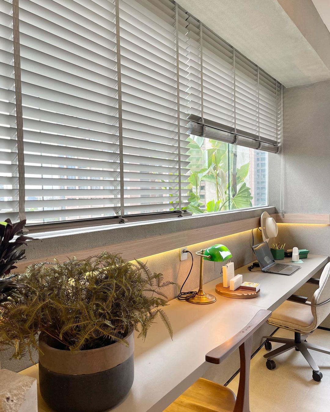 Persianas horizontais brancas em escritório moderno com plantas